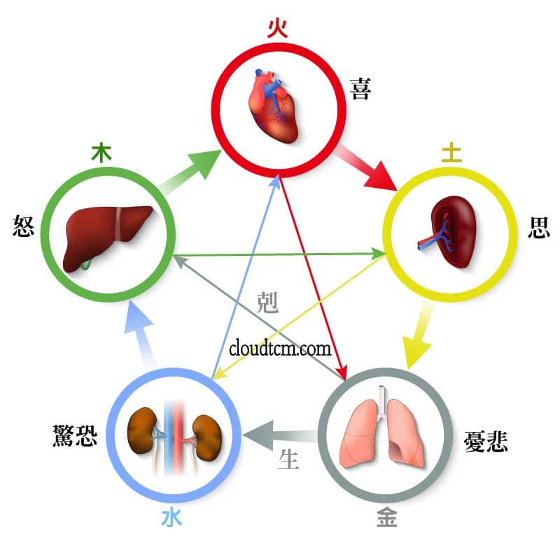 五臟與七情的關係