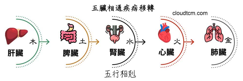 五臟依照五行相剋的原理，疾病會出現移轉現象