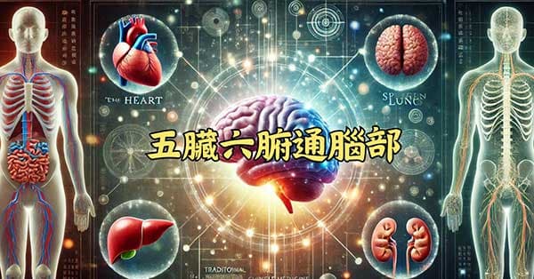 中醫的五臟六腑都與腦部疾病相關