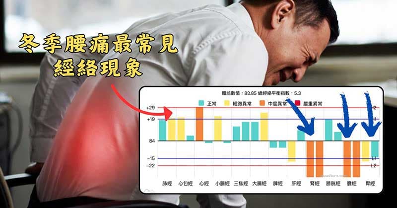 經常出現腰痛的經絡型態，膽經、胃經與腎經虛症