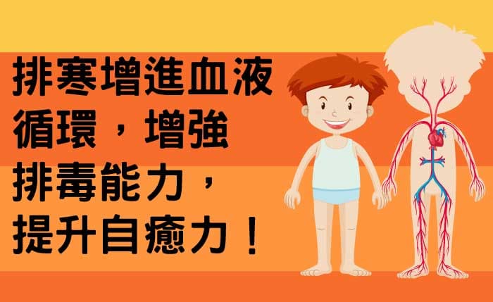 排寒增進血液循環，提升排毒自癒力
