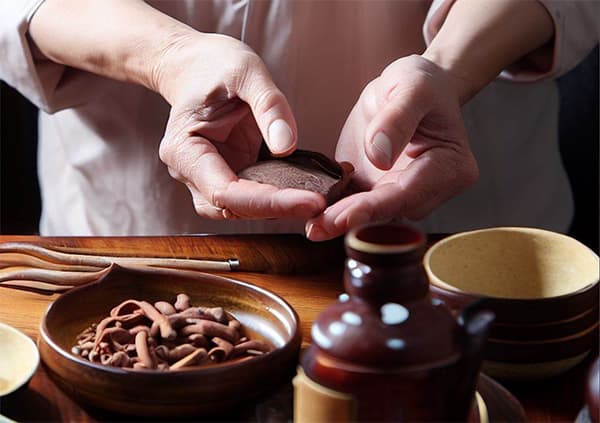 古人主要運用中藥治療肝病