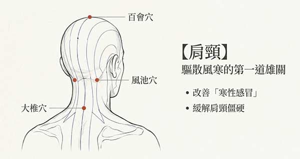 運用吹風機吹肩頸部位，效果不錯