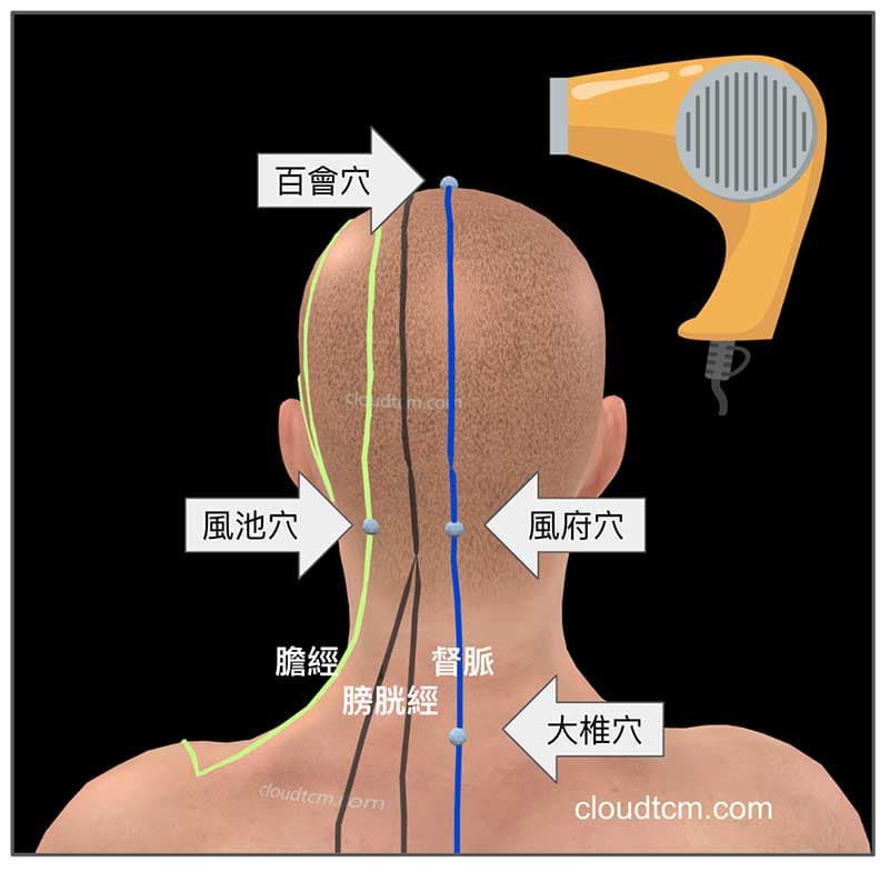 吹風機針對頭部的經絡穴道