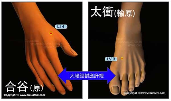 最常用的對應穴道就是四關穴