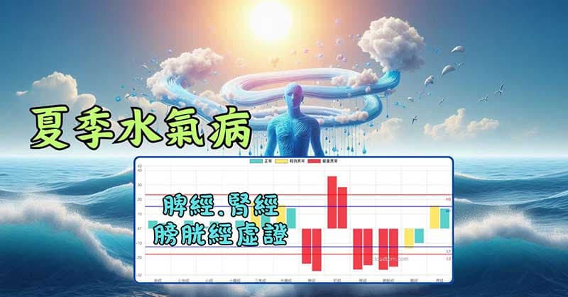 夏季期間鐵三角經絡型態，有機會出現水氣病