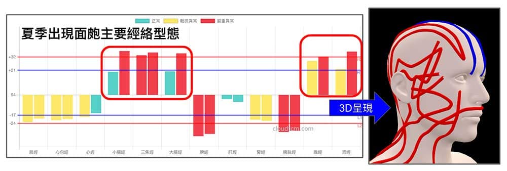 夏季出現面皰的主要經絡型態
