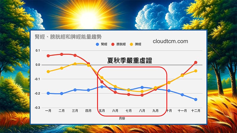 炎熱季節下，脾經、腎經與膀胱經虛證