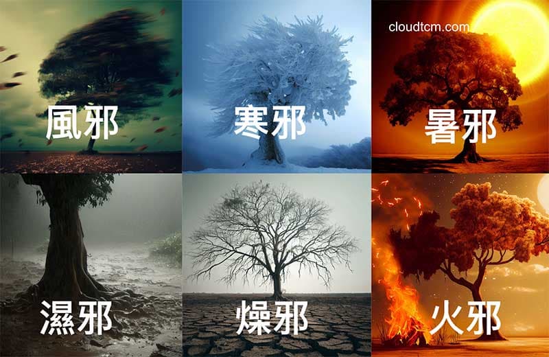 傳統中醫認為外感六邪是造成許多疾病的主因