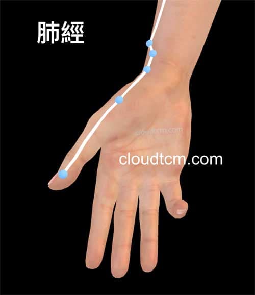 大拇指對應肺經
