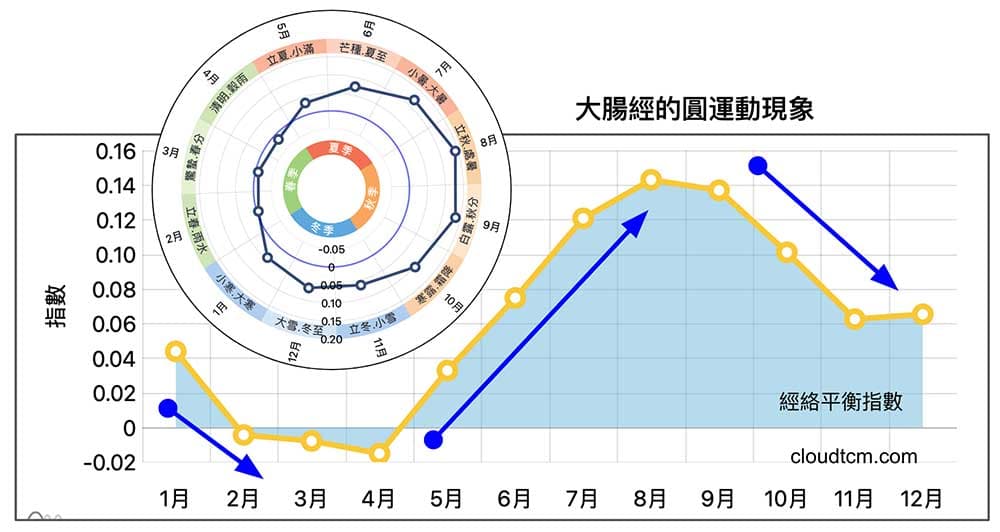 多數人的大腸經能量，在每年的8-9月達到最高點