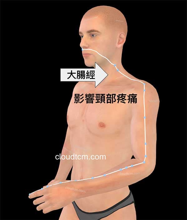 大腸筋與脖子痛，落枕密切相關
