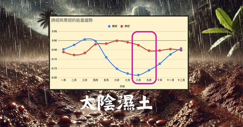 太陰濕土期間，脾經與胃經能量低下