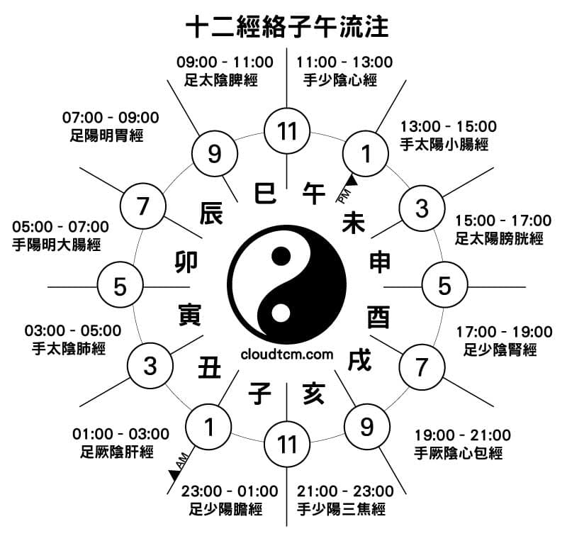 子午流注提到每個時辰都有對應的經絡