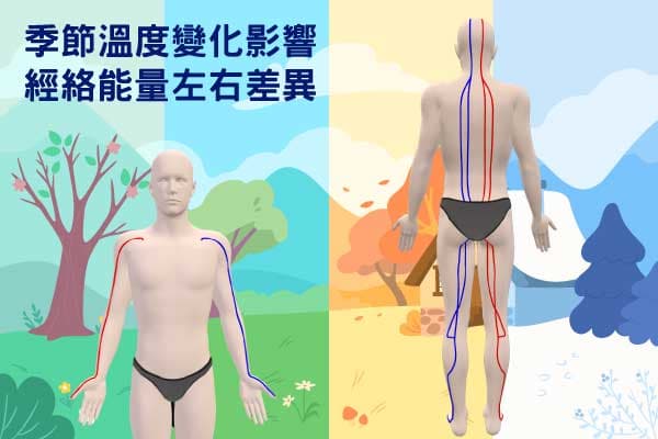季節溫度變化是影響經絡左右能量差異的主因