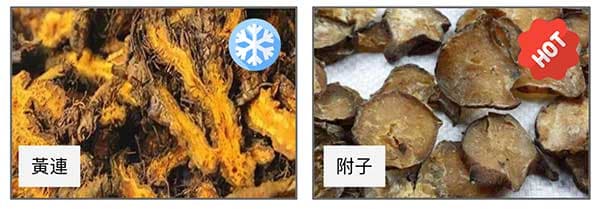寒藥殺人無罪，附子救命無功