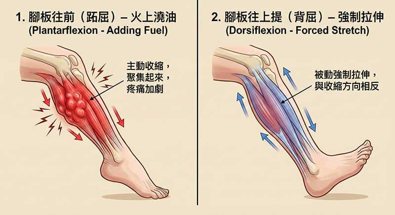 快速緩解夜間小腿抽筋的方法