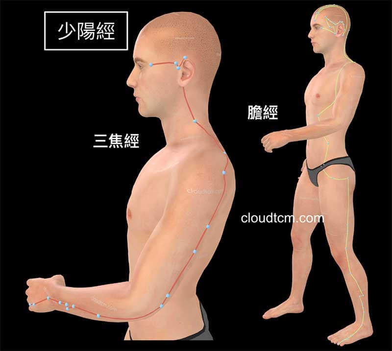 平衡少陽經可以改善少陽病