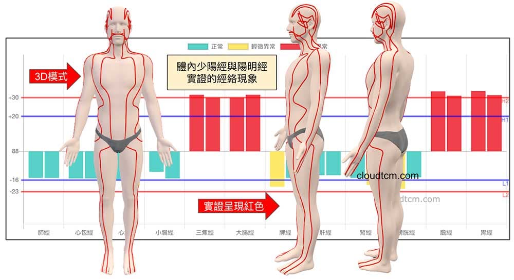 少陽經與陽明經實證的經絡現象