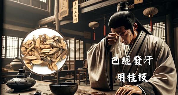 已經發汗的人要用桂枝治療感冒