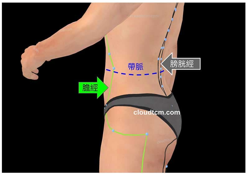 膽經、膀胱經、帶脈阻塞時容易腰痛