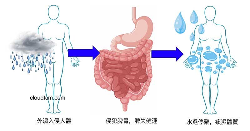 形成痰濕體質的過程
