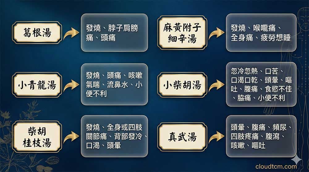 改善傷寒暝眩反應的常見中藥方劑