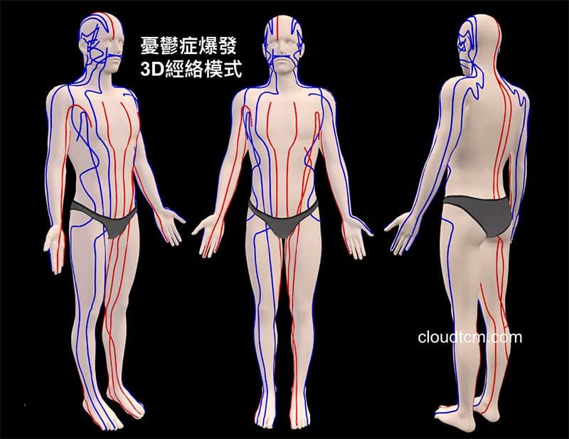 以3D模式呈現憂鬱症的經絡型態
