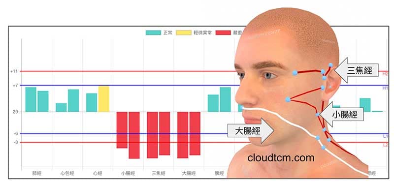 手三陽經虛證與鼻子面部密切相關