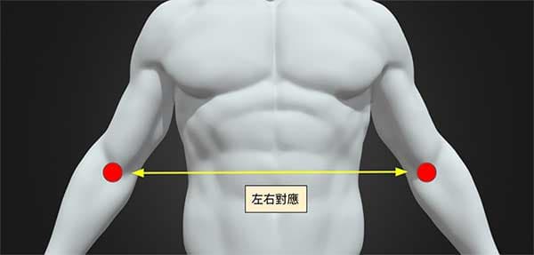 手肘左右對應取穴法