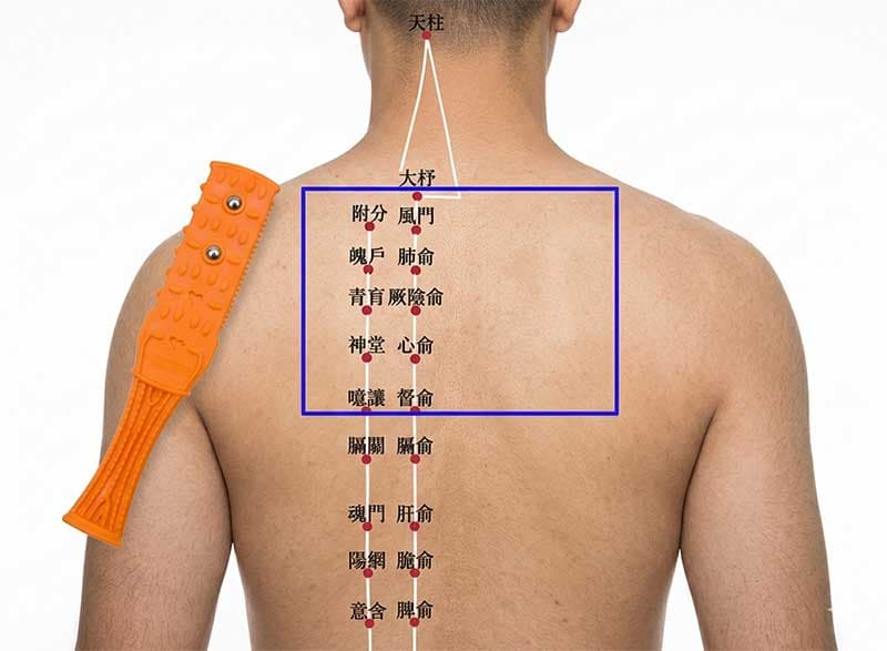 拍打上背部俞穴，也可疏通肺部與心臟的經絡氣血能量