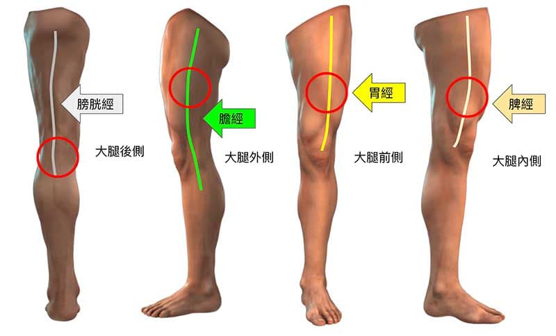 總共花費8分鐘，拍打大腿4條經絡