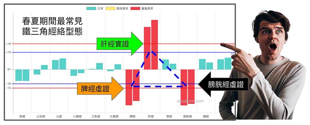 春夏期間最常見的鐵三角經絡型態