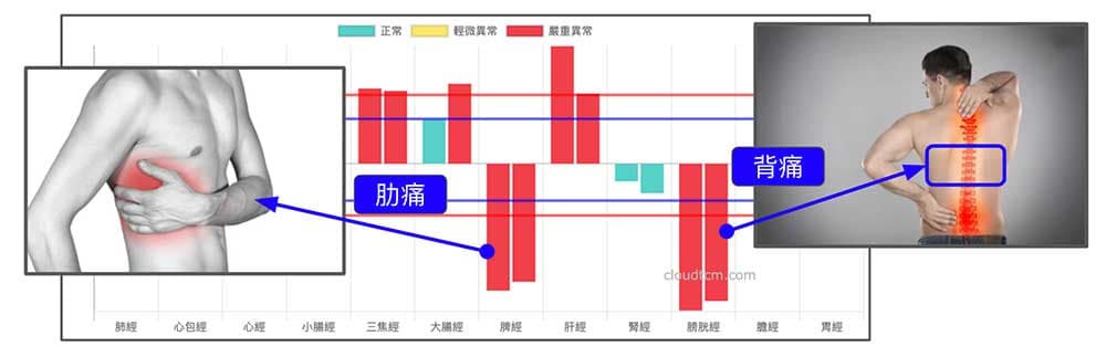 春夏期間的肋痛，常常是因為脾經與膀胱經虛證所造成