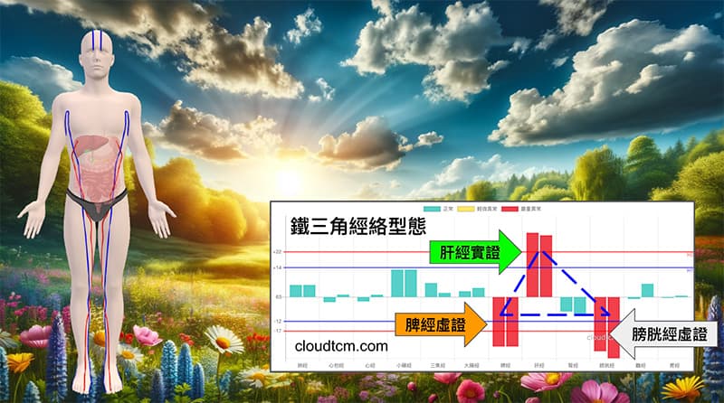 春夏期間高頻率出現的經絡型態