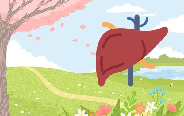 春季容易出現中醫的肝病