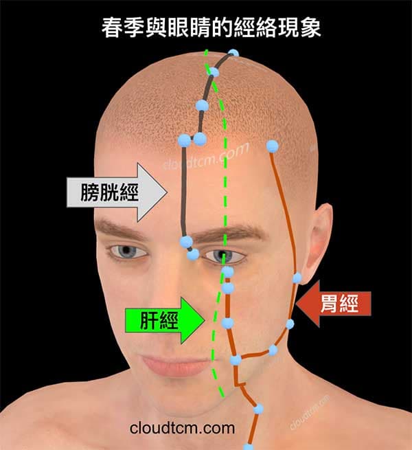 春季與眼睛的相關經絡現象