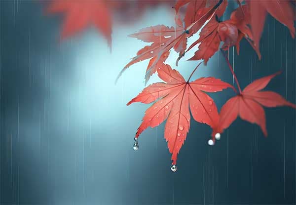 深秋：風燥濕寒