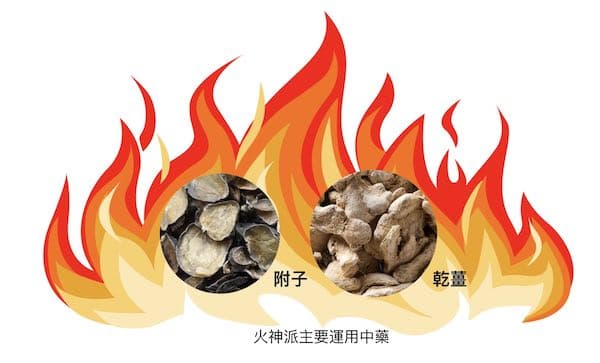 火神派在治病時大量運用附子乾薑