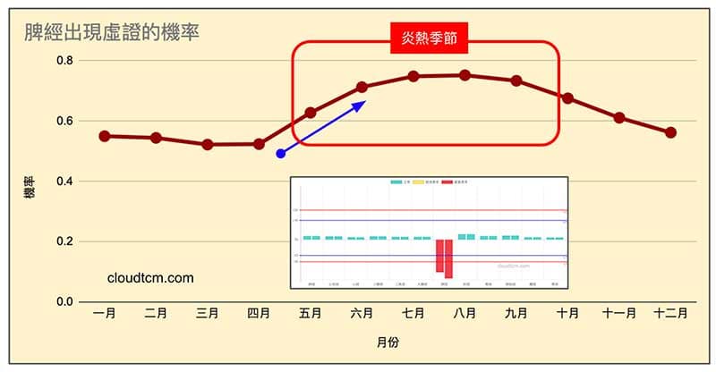 炎熱季節下，脾經會開始出現虛證