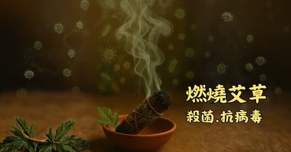 燃燒艾草具有殺菌、抗病毒功效