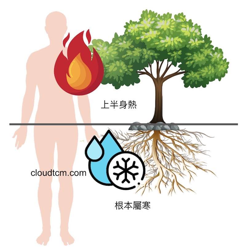 現代人上熱下寒，根本是寒，上半身熱只是假象！