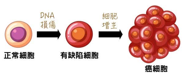 癌細胞演變是有階段性的