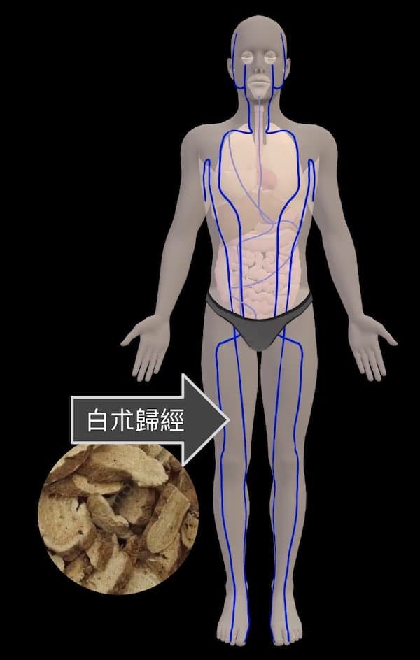白榄的归经是脾经与胃经