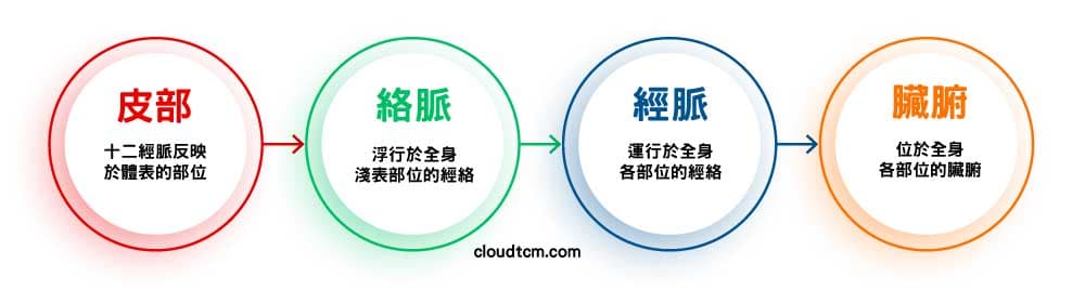 疾病從皮、絡、經、臟腑層次逐步深入