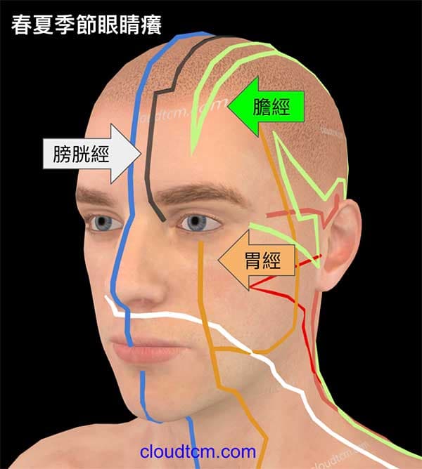 從通過眼睛的經絡，可以理解眼睛癢成因