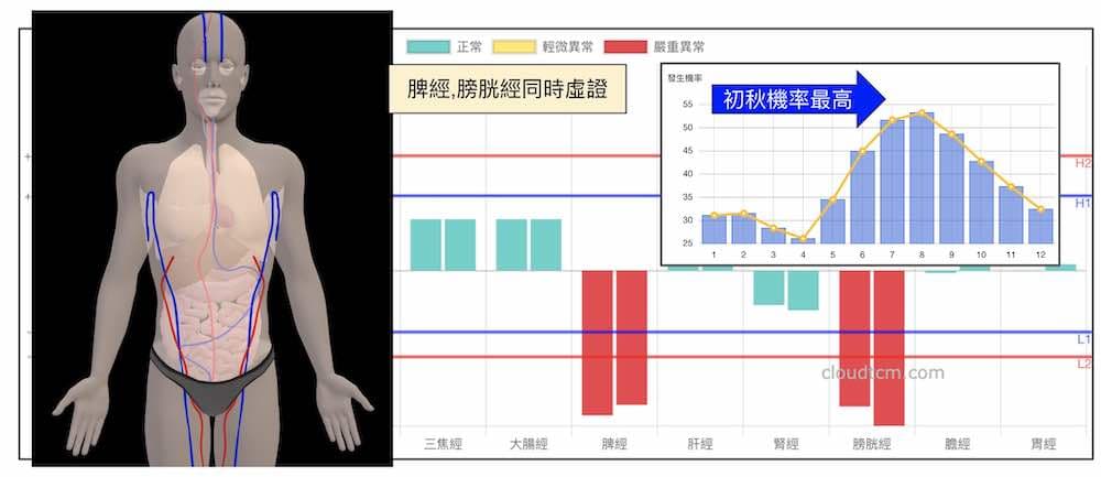 脾經與膀胱經虛證，在初秋時機率達到最高點