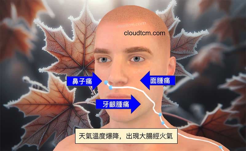 天氣降溫，反而出現大腸經火氣症狀