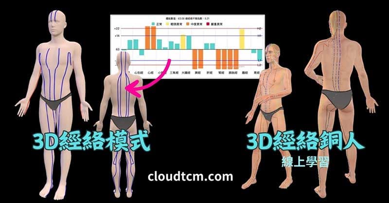 透過3D模式學習經絡，也可以開啟線上銅人學習