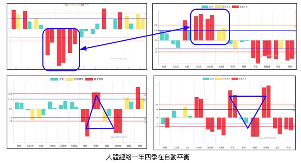 人體經絡其實一年四季都隨著節氣而自動平衡